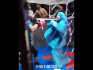 work on the paws in the octagon of a muslim girl boxing boxing