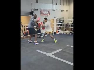 gervonta davis showed speed work on the paws