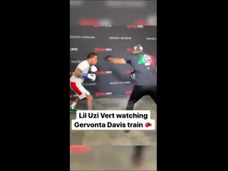 warm-up on the paws of gervonta davis before the fight with santa cruz