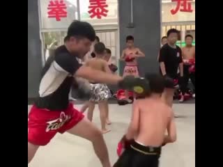 estimate the speed of defense of a young boxer