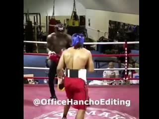 archived sparring between david haye and deontay wilder