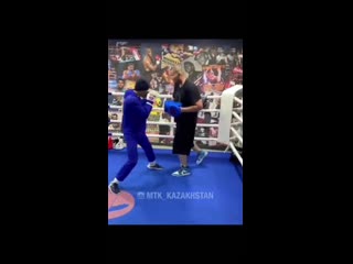 the work of the kazakh boxer on the paws