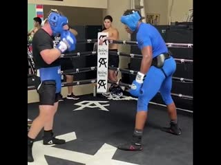 saul alvarez sparred with the undefeated cuban heavyweight