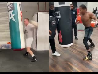 power work on the heavy bag canelo and haney