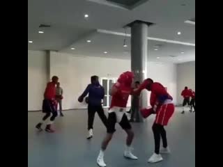 cuban boxers training