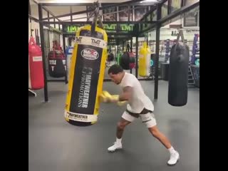 gervonta davis speed work on a heavy bag