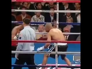 zaruba in the 2nd fight between roy jones and bernard hopkins