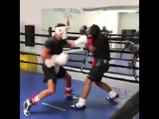 what are legs in boxing