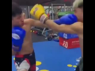 it looks like these boxers weren't taught how to defend themselves in training.