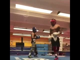 how shakur stevenson got hit