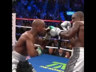 how floyd mayweather handled the body in a fight with andre berto