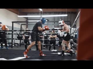 canelo sparring ahead of yildirim fight