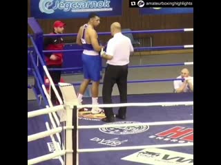 principal referee of the fight