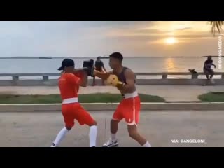 estimate the boxer's hand speed