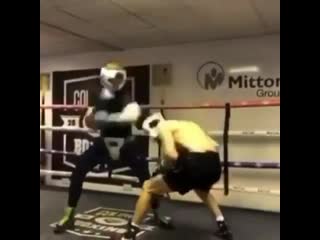 evaluate the boxer's defense skill