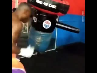 guillermo rigondeaux works on the sack