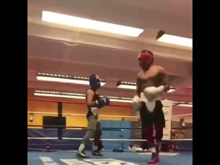 successful attack by shakur stevenson