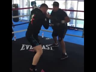 canelo practice double power punch to the liver