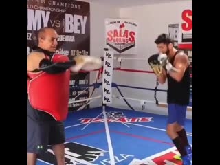 jorge linares power series on paws