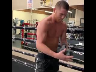 canelo showed how to plow in training