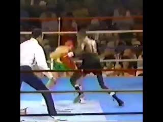 how julio cesar chavez sr destroyed roger mayweather