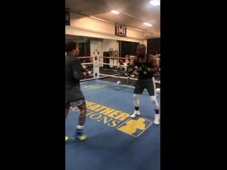 gervonta davis works on the paws with floyd mayweather