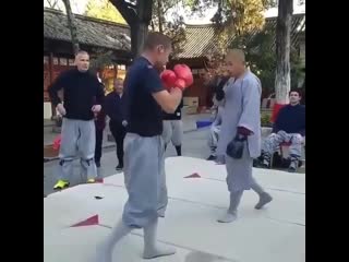 boxer vs shaolin fighter