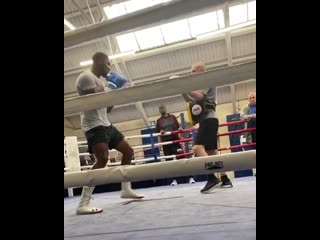 anthony joshua does a killer left hook on his paws