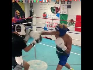 masterwork in the ring of the son of fernando vargas