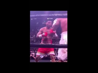 successful attack by gervonta davis in a fight with gamboa