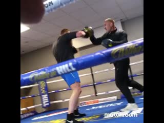 alexander povetkin works on his paws