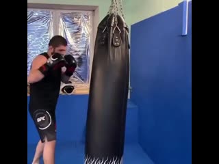 khabib works on a heavy bag