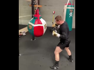 canelo alvarez trains a power punch to the liver