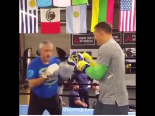 cutman vasily lomachenko copied the style of roger mayweather on the paws