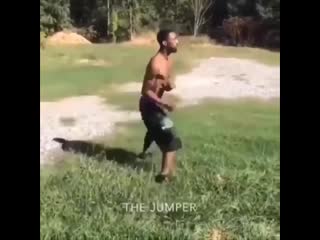 when you hit the wild boxer in the woods