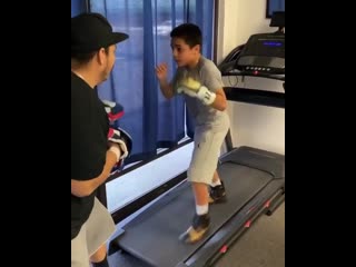 paw training for footwork on a treadmill