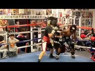 check out the defense skills of fernando vargas' son