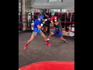 julio cesar chavez sr watches ryan garcia spar