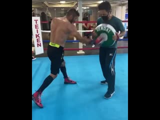 jorge linares practicing power shots to the body