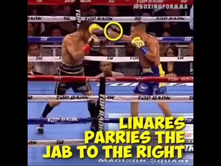 linares catches lomachenko