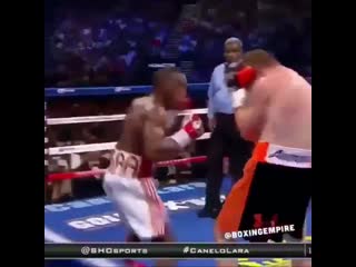 how lara successfully performed in the fight with canelo