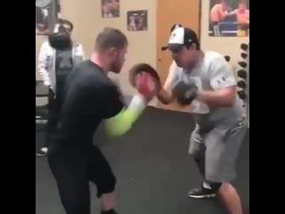 canelo alvarez begins training for fight with sergey kovalev