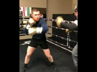 canelo's power work on his paws