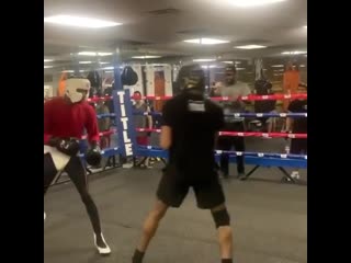 evaluate the boxer's defense skill