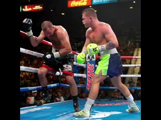 knockout of sergey kovalev from canelo alvarez from a close angle