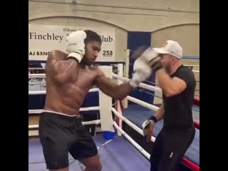 anthony joshua working on his paws