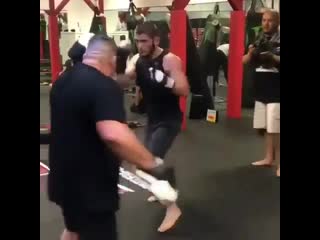 khabib's paw work