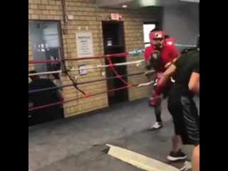 evaluate the reaction of the boxers