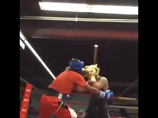 when a sparring boxer turned out to be a gentleman