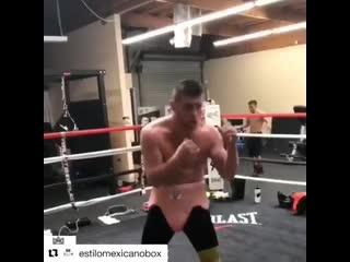 canelo alvarez championship training